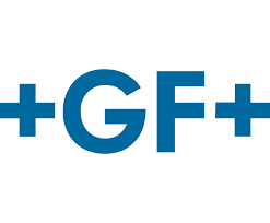 GF BFS Türkiye